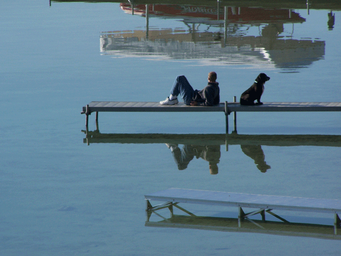 Man and hiis dog on the dock
